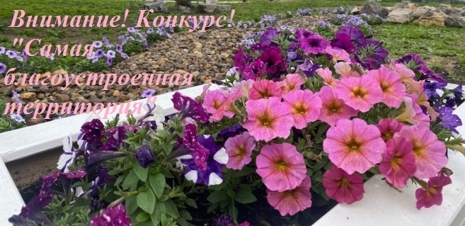 bHmmRI84_53FIL8ScbPPZvcQNpUBGZwqR8x4vSM6kG9y90825G4RmV7sFbv1Ojb7MmltsQSxOhNmHDG0fzGPbvw1.jpg